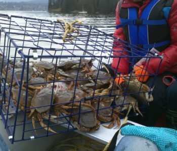 Vancouver and Port Moody Fishing Charters